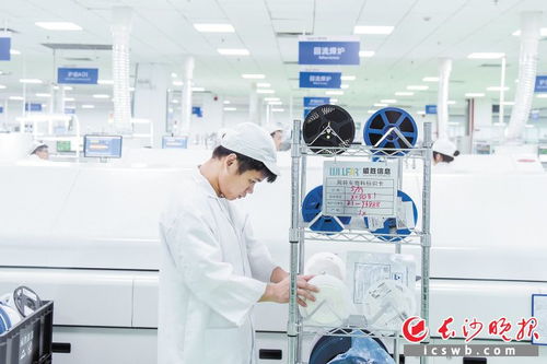 長(zhǎng)沙大步邁向中國(guó)軟件名城 軟件和信息技術(shù)服務(wù)新篇章